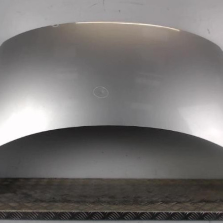 Capot RENAULT SCENIC 3 Photo n°1