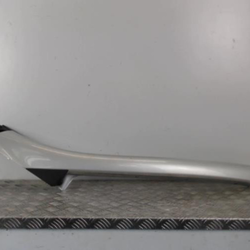 Baie de pare brise RENAULT SCENIC 3