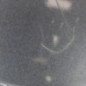 Capot PEUGEOT 1007