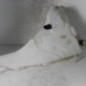 Vase de lave glace VOLVO C 30