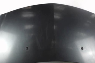 Capot RENAULT CLIO 3 Photo n°1