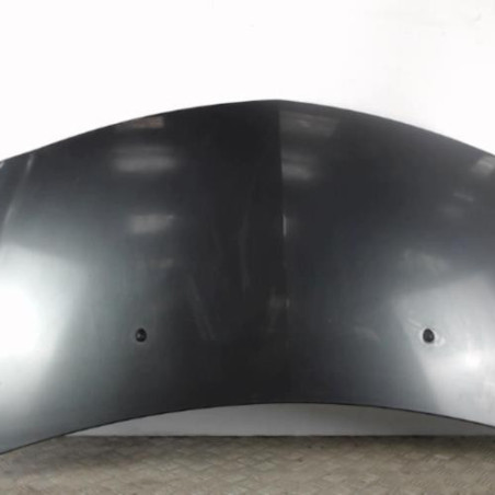 Capot RENAULT CLIO 3 Photo n°1
