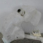 Vase de lave glace RENAULT LAGUNA 3