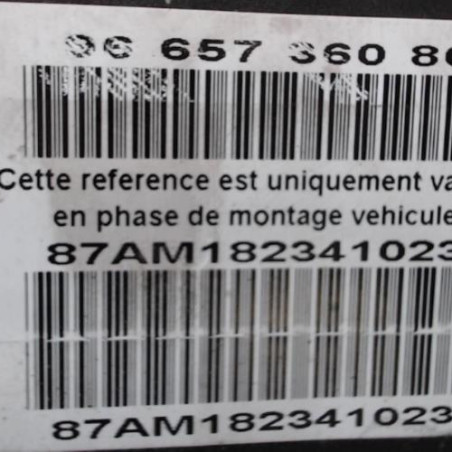 Bloc ABS (freins anti-blocage) PEUGEOT 407