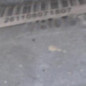 Cremaillere assistee AUDI A3 2