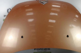 Capot CITROEN C3 PLURIEL Photo n°1