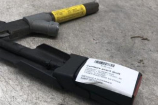 Attache ceinture avant droit RENAULT KANGOO 1 Photo n°1