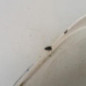 Pare choc arriere SEAT LEON 3