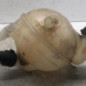 Vase d'expansion CITROEN C4 2