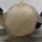 Vase d'expansion CITROEN C4 2