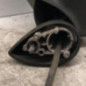 Retroviseur gauche SEAT IBIZA 4