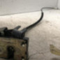 Serrure avant droit RENAULT CLIO 2