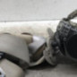 Ceinture avant droit RENAULT LAGUNA 3
