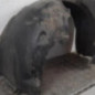 Pare boue avant droit ALFA ROMEO GIULIETTA 2