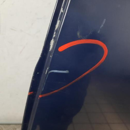 Porte arriere gauche RENAULT SCENIC 2