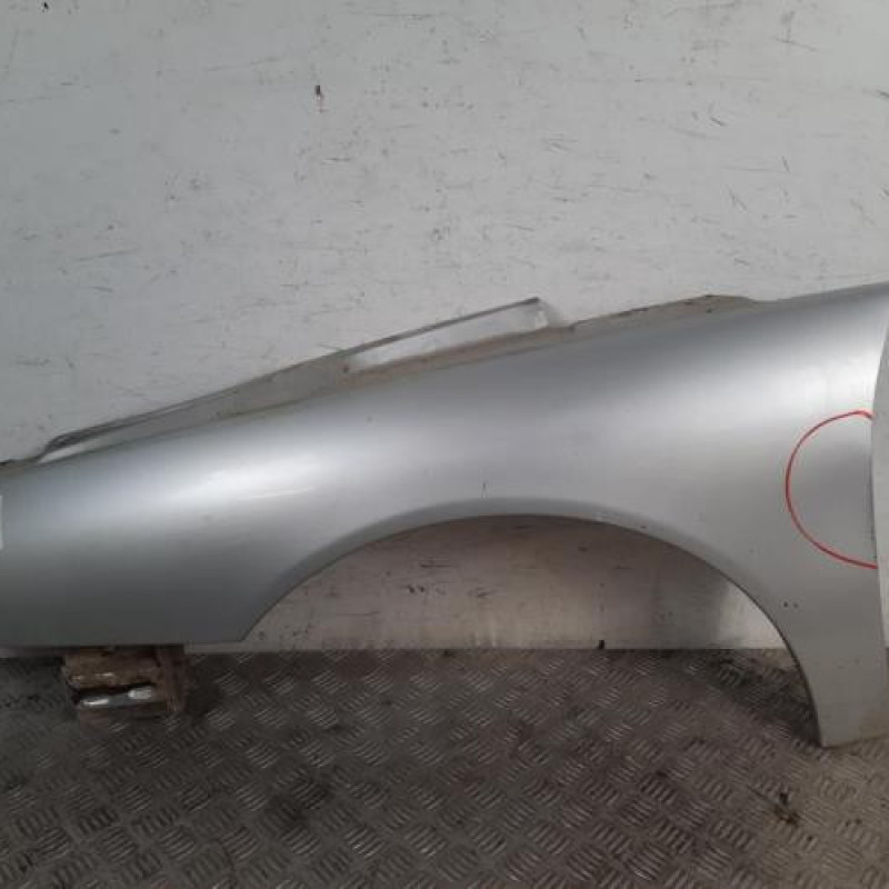 Aile avant gauche RENAULT LAGUNA 1