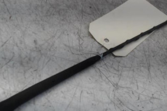 Antenne RENAULT GRAND SCENIC 3 Photo n°1