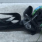 Ceinture avant droit CITROEN C4 GRAND PICASSO 1