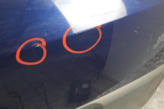 Malle/Hayon arriere RENAULT SCENIC 2