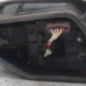 Feu arriere principal droit (feux) CITROEN XSARA