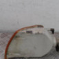 Optique avant secondaire droit (feux)(clignotant) VOLKSWAGEN POLO 3