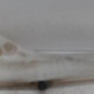 Vase de lave glace PEUGEOT 607