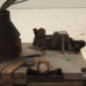 Serrure avant droit PEUGEOT 306