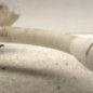 Vase de lave glace CITROEN DS4