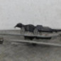 Moteur essuie glace avant PEUGEOT 1007