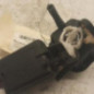 Bouton de coffre RENAULT CLIO 2