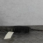 Cremaillere assistee FIAT 500 2