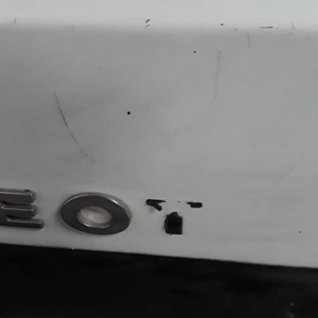 Porte arriere gauche PEUGEOT EXPERT 1