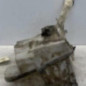Vase de lave glace CITROEN C5 2