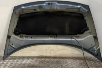 Capot CITROEN C3 1 Photo n°6
