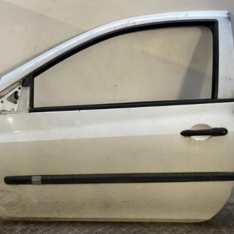 Porte avant gauche RENAULT CLIO 3