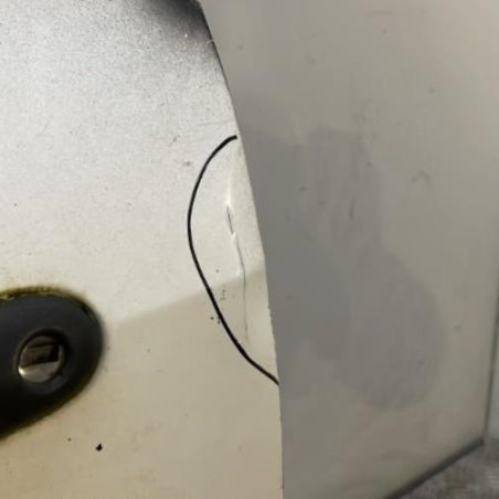 Porte avant gauche RENAULT CLIO 3