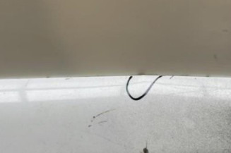 Porte avant gauche RENAULT CLIO 3 Photo n°3