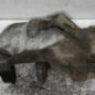 Etrier avant gauche (freinage) OPEL ASTRA K