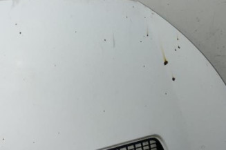 Capot FIAT SCUDO 2 Photo n°6