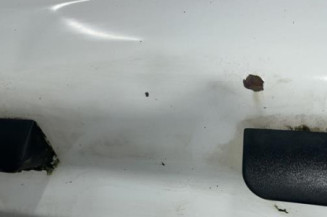 Porte de coffre gauche FIAT SCUDO 2 Photo n°5