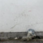 Cremaillere assistee FORD FIESTA 6