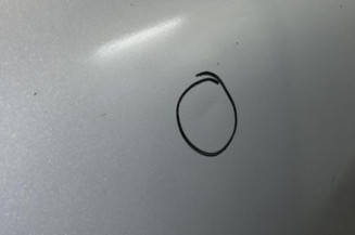 Porte arriere gauche CITROEN C4 PICASSO 1 Photo n°4