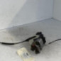 Serrure arriere gauche PEUGEOT 208 1