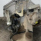 Boite de vitesses PEUGEOT 206+
