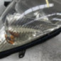 Optique avant principal gauche (feux)(phare) CITROEN C5 1