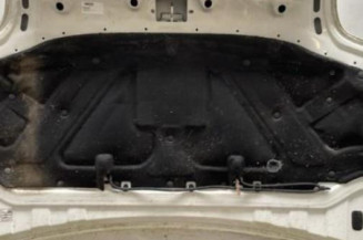 Capot FIAT DOBLO 1 Photo n°3