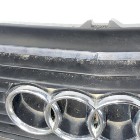 Calandre AUDI 100 2