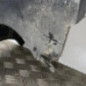 Pare choc arriere CITROEN ZX