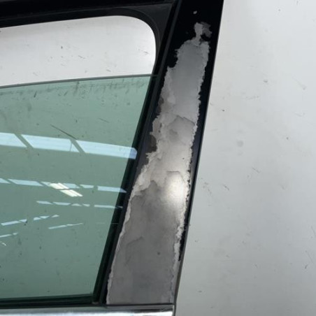 Porte avant gauche VOLKSWAGEN PASSAT 5