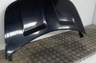 Capot SMART FORFOUR 1 Photo n°3